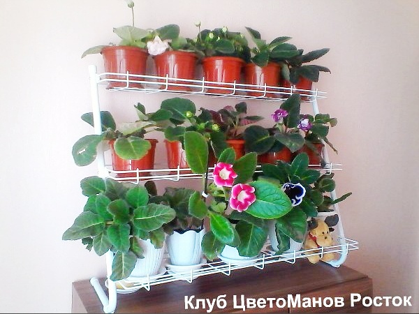 стеллаж для рассады и растений трехъярусный. Фото N24
