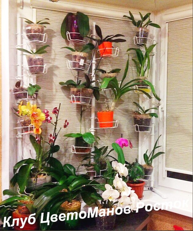 металлическая подставка на окно вместительная. Фото N14