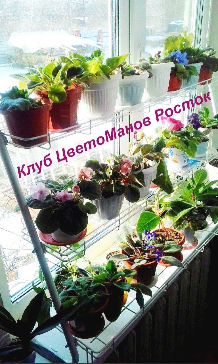 стеллаж для рассады и растений трехъярусный. Фото N19